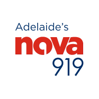 Nova 919