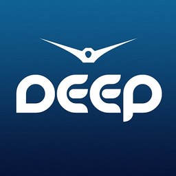 Рекорд Deep (Record Deep)