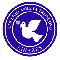 Colegio Amelia Troncoso