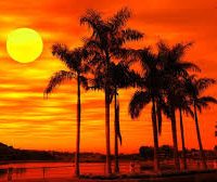 24/7 Deep Sleep Music Relaxing Music Insomnia Sleep Relaxing Music Study Sleep Meditation