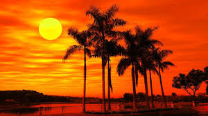 24/7 Deep Sleep Music Relaxing Music Insomnia Sleep Relaxing Music Study Sleep Meditation