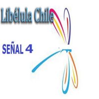 LibelulaChile.cl Señal 4
