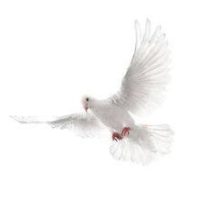 Radio Conexiones 1300 Am