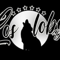 Radio Online Los Lobos Del Sur