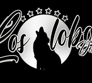 Radio Online Los Lobos Del Sur